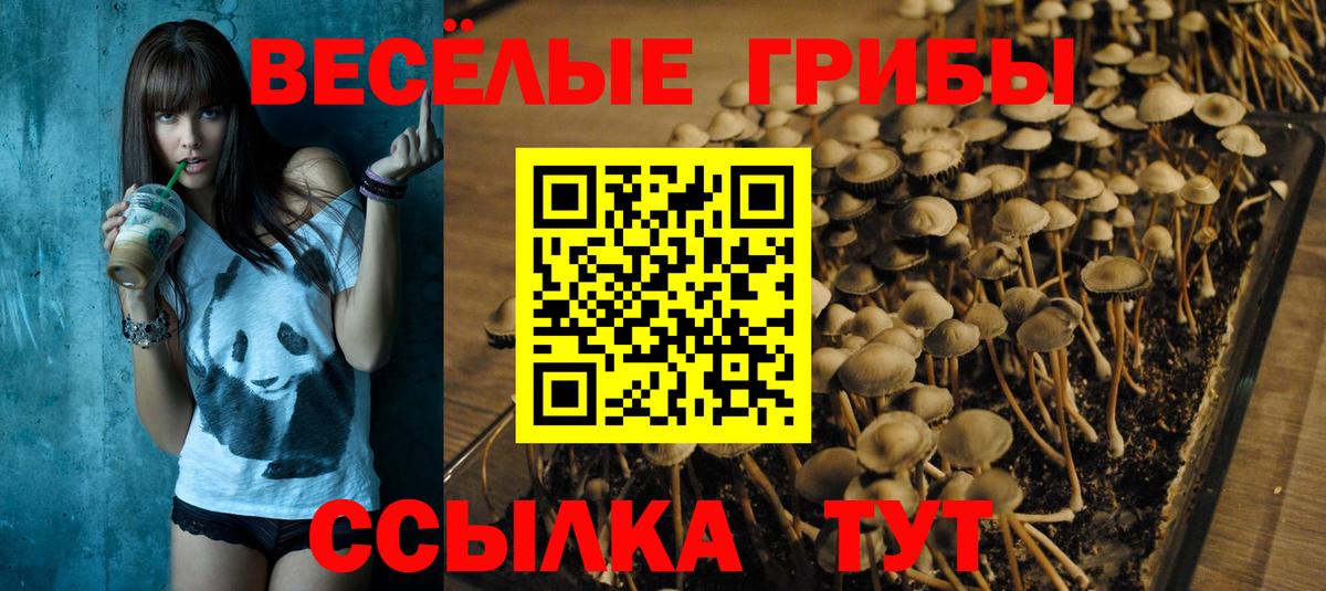 Псилоцибиновые грибы ЛСД  как найти   Псилоцибиновые грибы GOLDEN TEACHER  Белорецк  Вход с VPN 